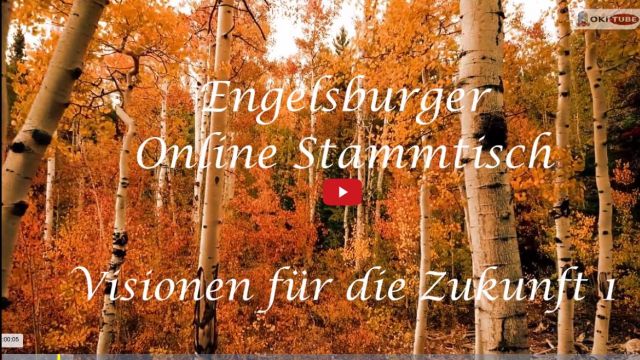 Online Stammtisch Visionen 1