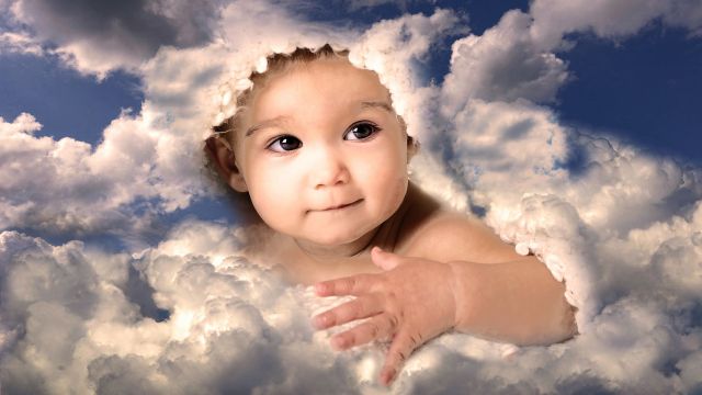 Vedischer Lifestyle - P. Tiger Ray (Thomas Ulbrich)