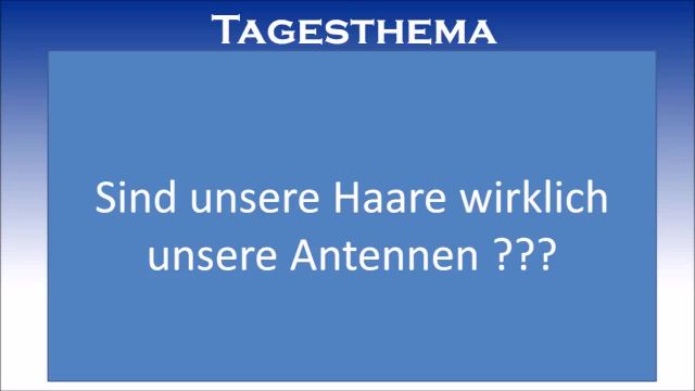 Engelsburger Neuigkeiten für den 24. Januar 7528 nEFS mit dem Tagesthema „Sind die Haare Antennen?“