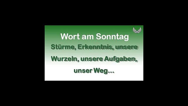 Wort am Sonntag 8. März: Stürme, Erkenntnis, unsere Wurzeln, unsere Aufgaben, unser Weg
