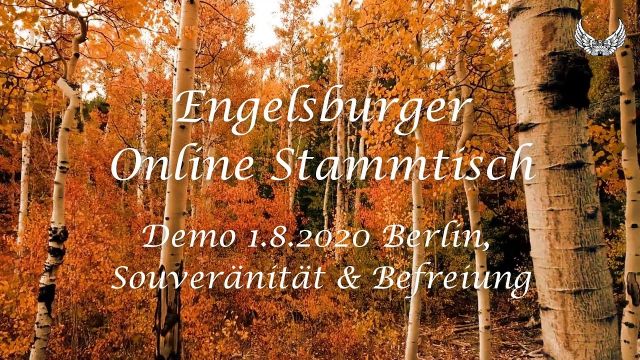 Engelsburger Online Stammtisch vom 3.8.2Q2Q Themen: Demo am 1.8. in Berlin, Souveränität & Befreiung