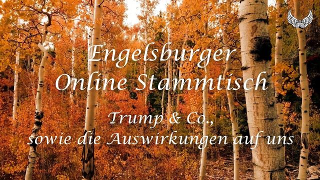 Engelsburger Onlinestammtisch 17.8. 2Q2Q Thema: Trump & Co., sowie die Auswirkungen auf uns