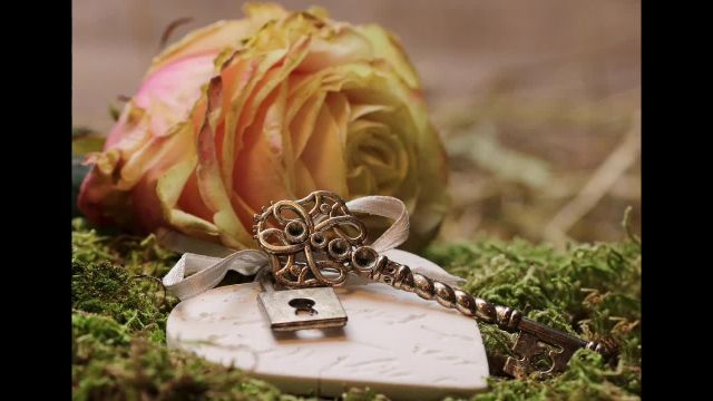 Reinige dein Herz rein! Lass dein Herz für dich sprechen und die Gedanken frei...