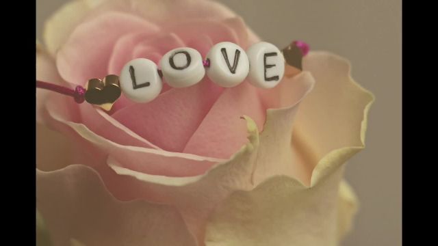 Habt Vertrauen in euch