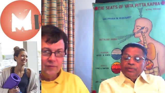 gesund bleiben (werden) - Interview mit S. K. Kamlesh (Streamingvideo)