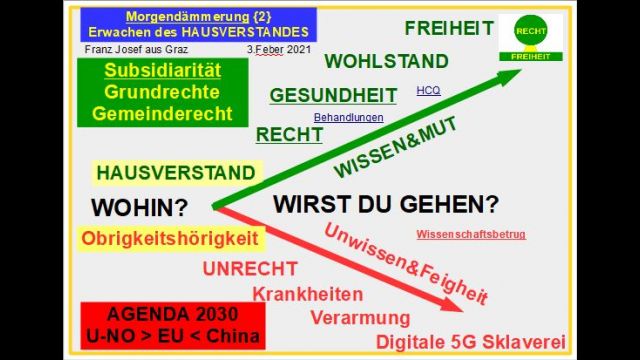 Erwachen des HAUSVERSTANDES - Morgendämmerung {2}
