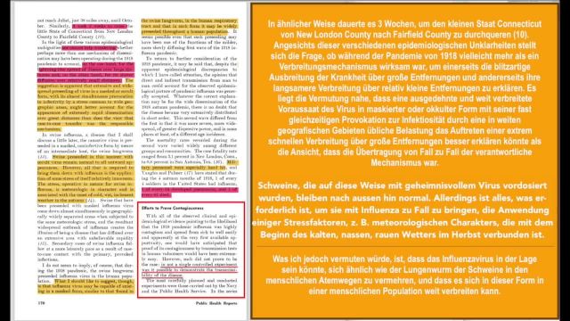 Lesung Influenza - Deutsch