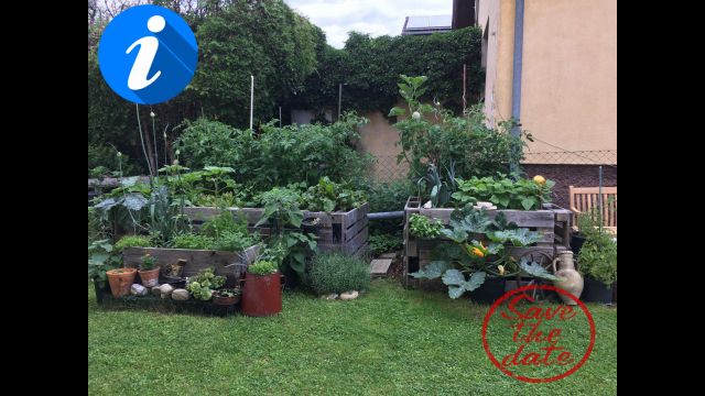 Auf OKiTUBE jeden Donnerstag - Autark - Eigenverantwortlich - Selbstbewusst - Am 18.03.2021 Ab 20 Uhr - LIVE -