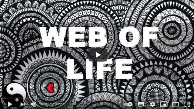 The Web of Life (Interdependence of all things) by Alan Watts