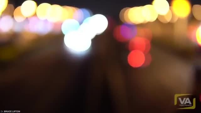 #denkWELTEN #AngstFREIsein #LIEBEerLEBEN Bruce Lipton: Evolutionssprung [JETZT] um 11 Uhr