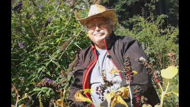 Der Weg ist der Schlüssel zum Tor Deiner Seele neu