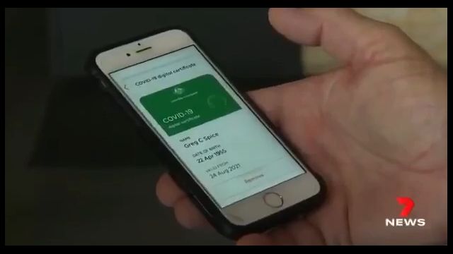 Impfpass als trojanisches Pferd