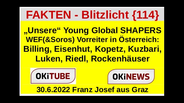 Young Global SHAPERS - FAKTEN BLITZLICHT 114