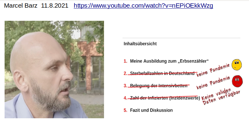 Keine Pandemie in den Rohdaten (Marcel Barz)