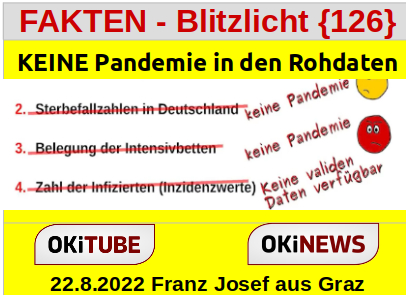 KEINE Pandemie in den Rohdaten - FAKTEN - Blitzlicht {126}