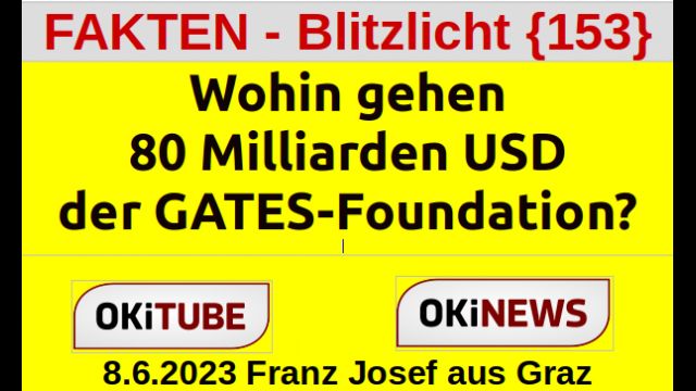 Wen bezahlt GATES mit 80 Milliarden USD?- FAKTEN - Blitzlicht {153}