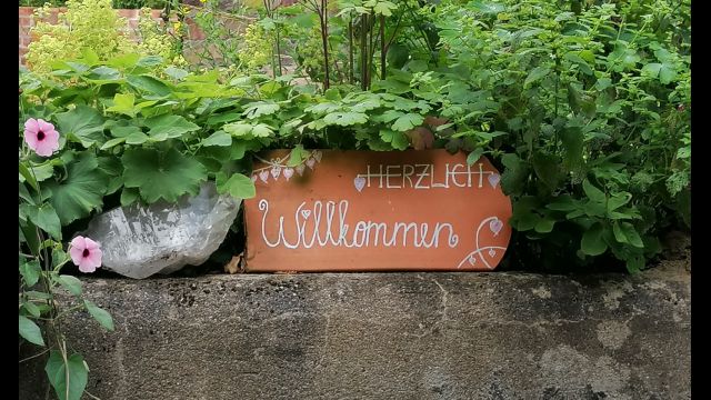 Natur im Garten - Das Paradies mitten im Wald
